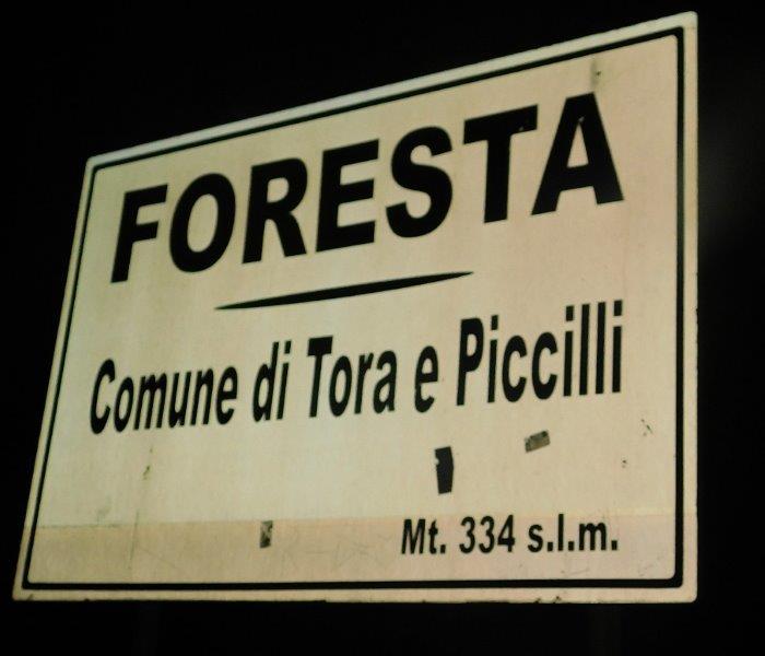 Tora Piccilli 200821