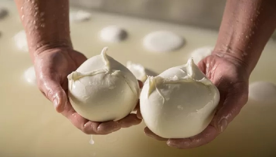 festa della mozzarella