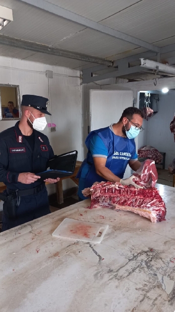carabinieri sequestro carni